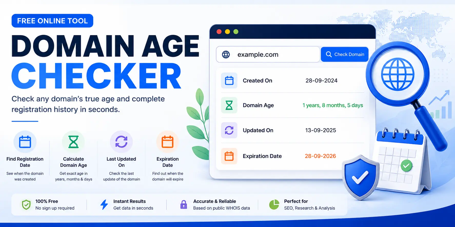 Domain Age Checker - Check Website Age & Registration Date